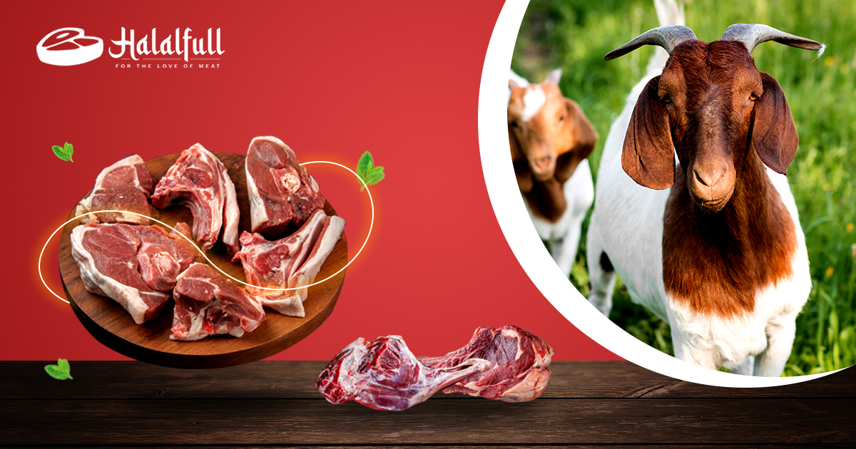 Halalfull Regular Goat Meat Halal Goat Meat Fresh Goat Meat for