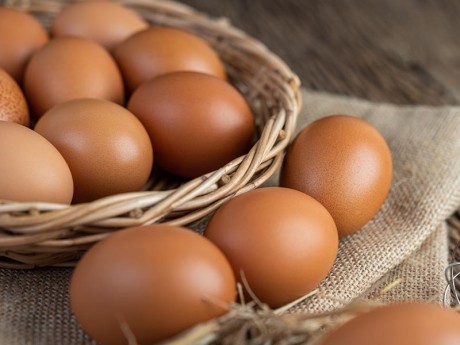 Chicken Eggs - Organic Free Range